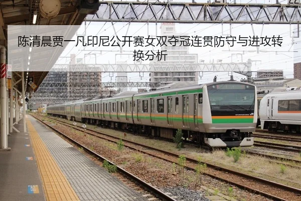 chen-qing-chen-jia-yi-fan-yin-ni-gong-kai-sai-nv-shuang-duo-guan-lian-guan-fang-shou-yu-jin-gong-zhuan-huan-fen-xi-2-218.jpg